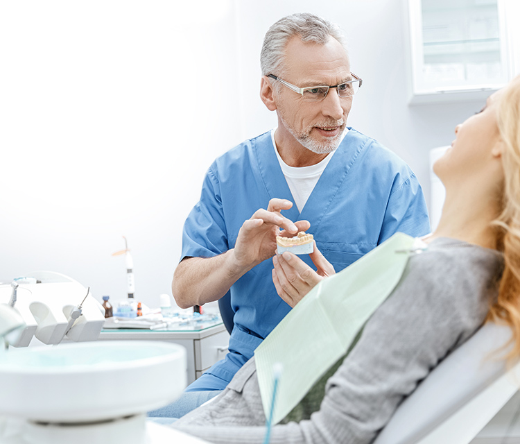 dentist showing jaws model to patient in dental clinic